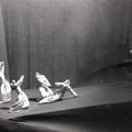 GeorgeCserna_V2_S22_img936.jpg