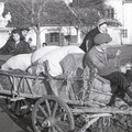 GeorgeCserna_V2_S22_img950.jpg