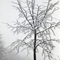 GeorgeCserna_V2_S23_img011.jpg
