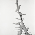 GeorgeCserna_V2_S23_img012.jpg