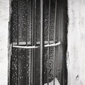 GeorgeCserna_V2_S23_img014.jpg