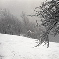 GeorgeCserna_V2_S23_img018.jpg