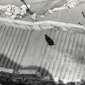 GeorgeCserna_V2_S23_img979.jpg