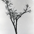 GeorgeCserna_V2_S23_img988.jpg