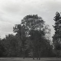 GeorgeCserna_V2_S3_img407.jpg