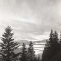 GeorgeCserna_V2_S4_img444.jpg