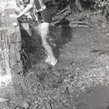 GeorgeCserna_V2_S5_img451.jpg