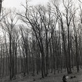 GeorgeCserna_V2_S6_img474.jpg