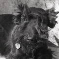 GeorgeCserna_V2_S7_img515.jpg