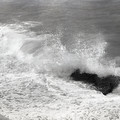GeorgeCserna_V2_S8_img538.jpg