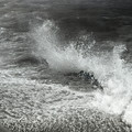 GeorgeCserna_V2_S8_img539.jpg