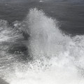 GeorgeCserna_V2_S8_img540.jpg