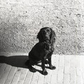 GeorgeCserna_V2_S9_img588.jpg