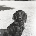 GeorgeCserna_V2_S9_img589.jpg